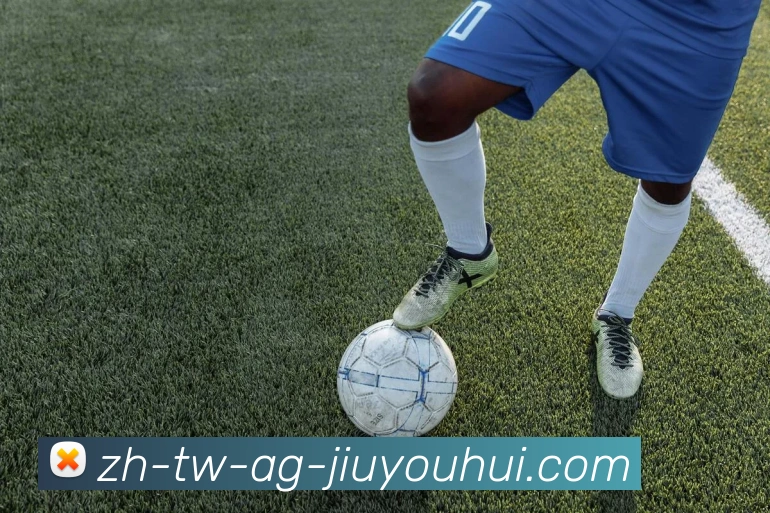 AG九游会官网发展历程